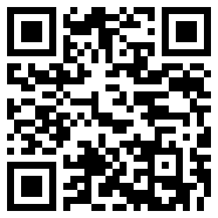 扫码下载飞龙模拟器游戏