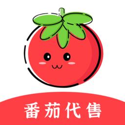番茄代售交易软件APP