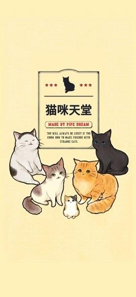 猫咪天堂无限宝石金币破解版截图