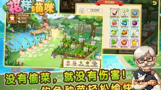 花样猫咪无限金鱼干版截图