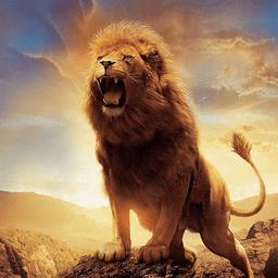 狮鹫模拟器游戏