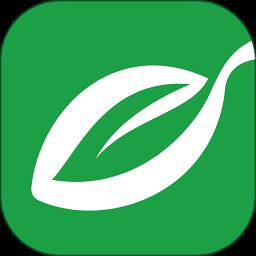 广东省汕头橄榄台(汕头电视直播)