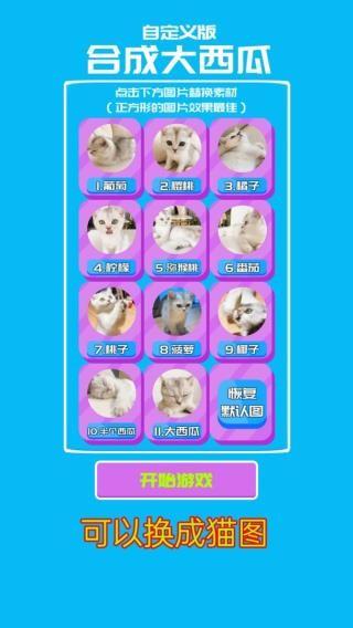 合成大西瓜游戏截图