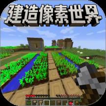 像素建造高手游戏