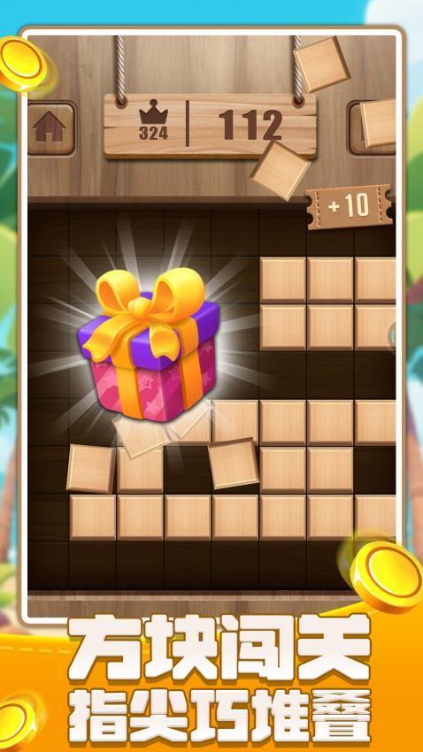 俄罗斯闯关方块游戏