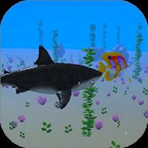 动物园冒险家游戏