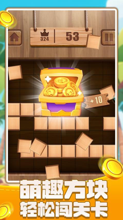 俄罗斯闯关方块游戏截图