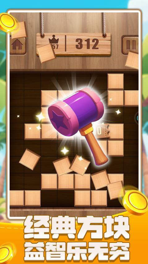 俄罗斯闯关方块游戏