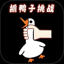 抓鸭子挑战手游