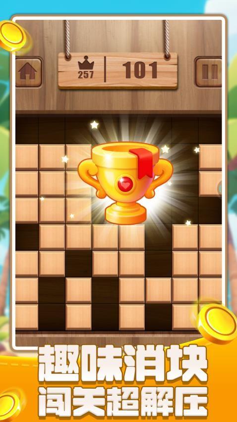 俄罗斯闯关方块游戏