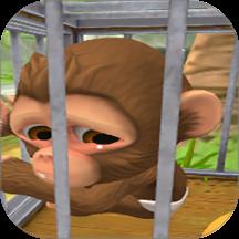 猴子搞怪日常游戏