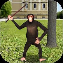 公狒狒冒险游戏