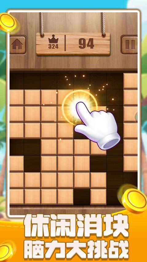 俄罗斯闯关方块游戏