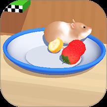 仓鼠迷宫冒险游戏