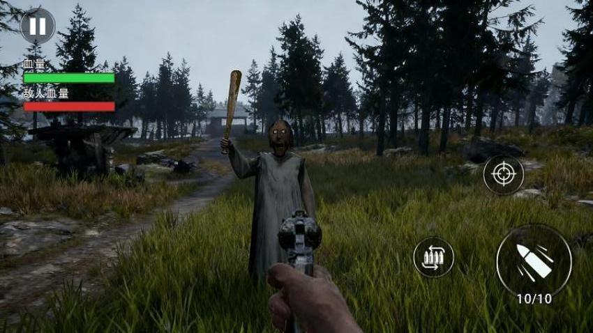 别惹恐怖奶奶游戏截图