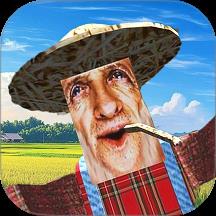 爷爷的农场模拟器手游