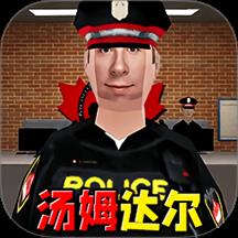 汤姆达尔世界游戏