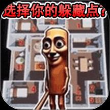 躲猫猫行动游戏