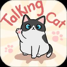 趣味找猫猫游戏