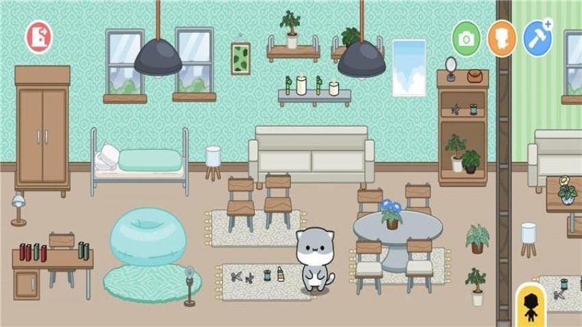 亲爱的猫咪手游截图