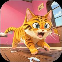 坏猫和奶奶游戏