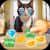 我是小猫猫游戏