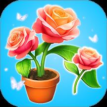 消花朵来富贵游戏