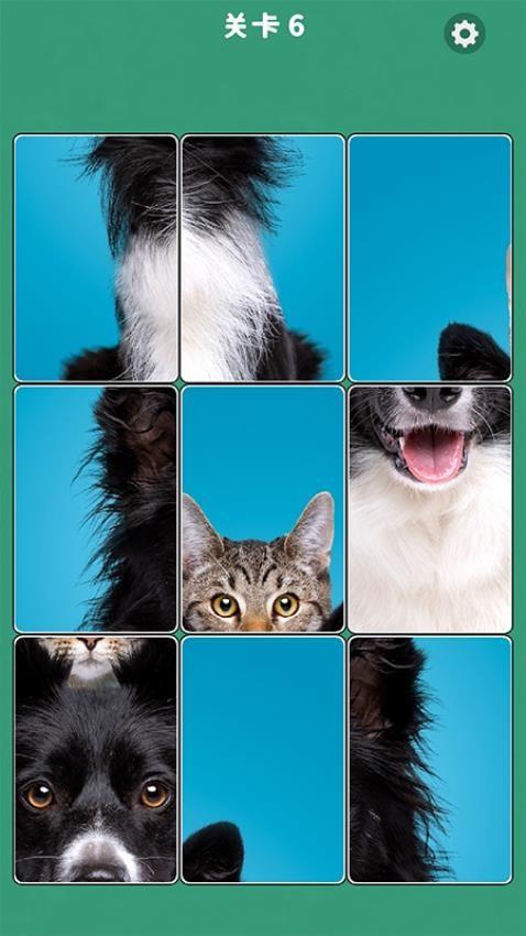 逻辑拼图游戏截图