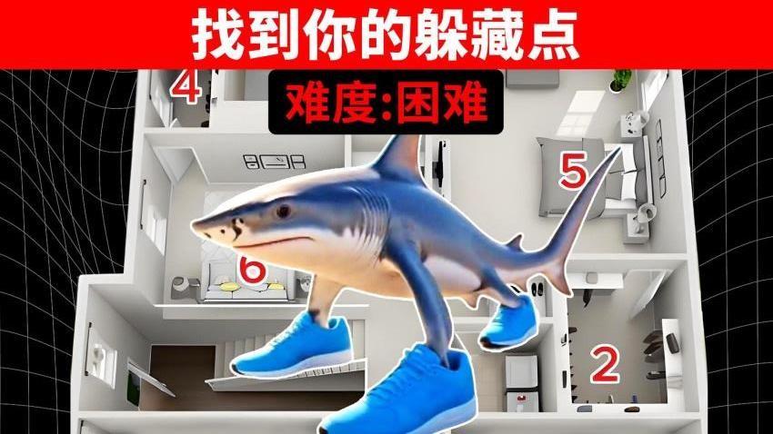 躲猫猫大高手游戏截图