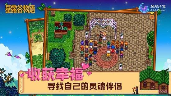 星露谷物语汉化手机版(Stardew Valley)