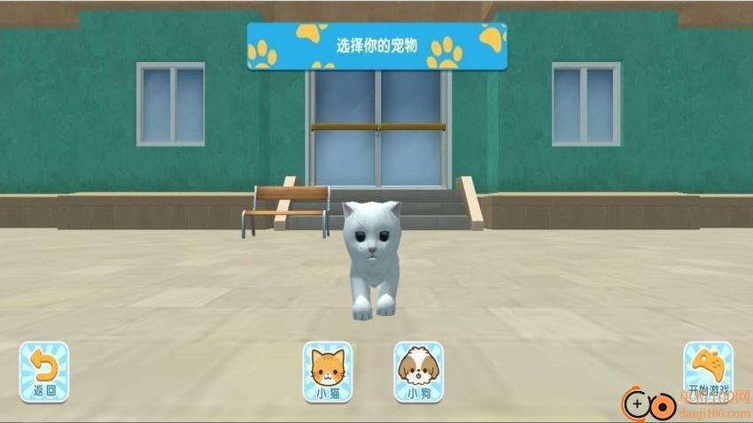 猫咪城市探索行手游