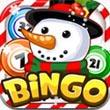宾果节