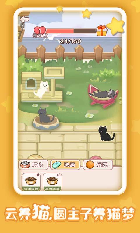 有间猫咪小院截图