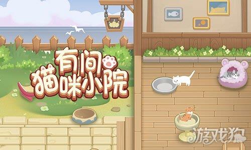 有间猫咪小院 有间猫咪小院
