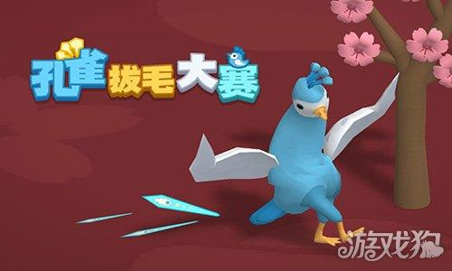 孔雀拔毛大赛 孔雀拔毛大赛