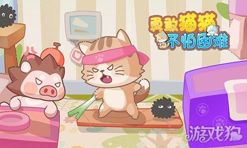 勇敢猫猫不怕困难