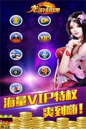 龙游棋牌手游