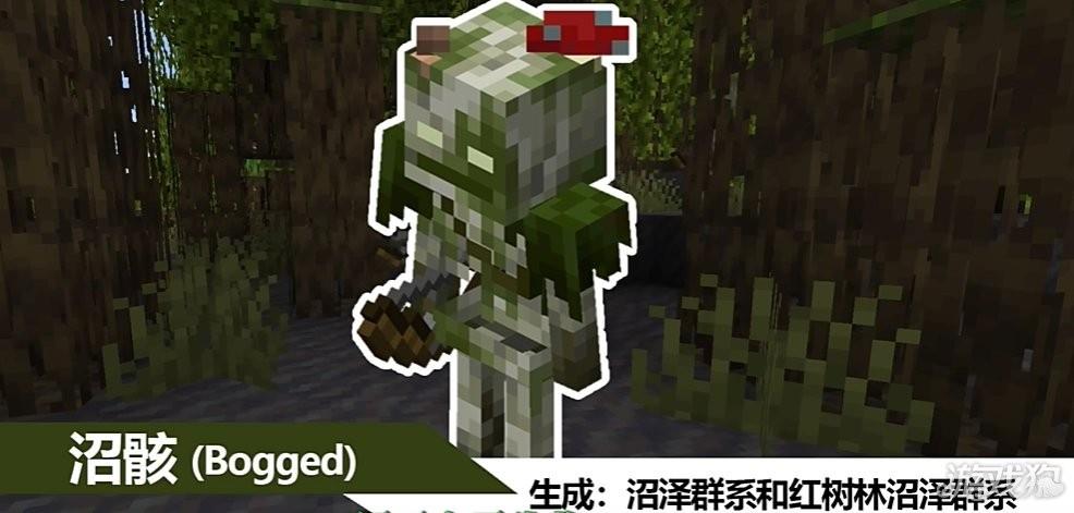 我的世界1.21国际版