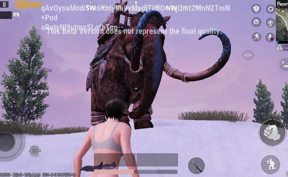 PUBG国际服手游
