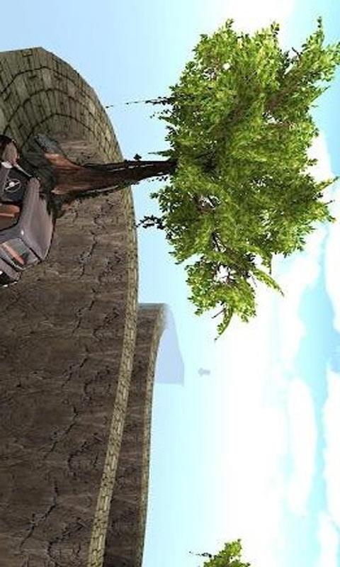 3D真实停车截图