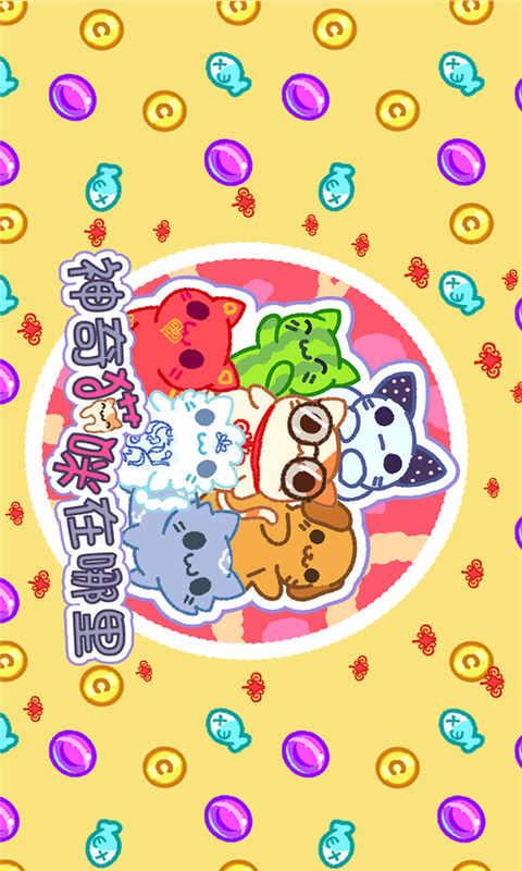 神奇猫咪在哪里截图