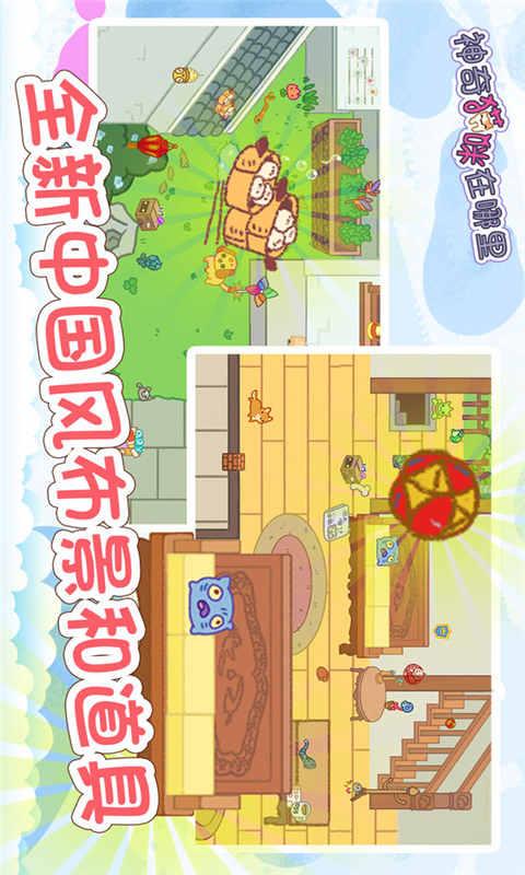 神奇猫咪在哪里截图